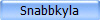 Snabbkyla